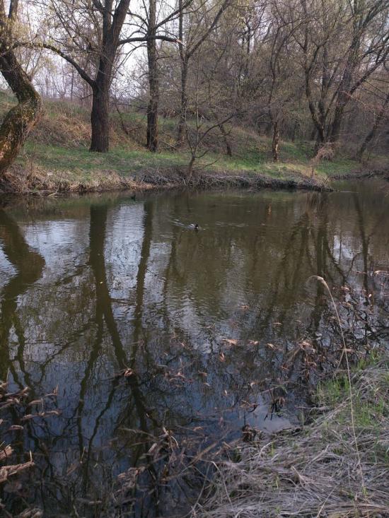 Мала Данилівка з panoramio.com - Mala Danylivka