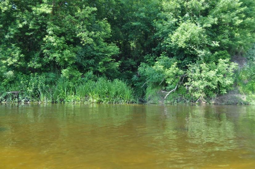 Лабурівка з panoramio.com - Лабуревка