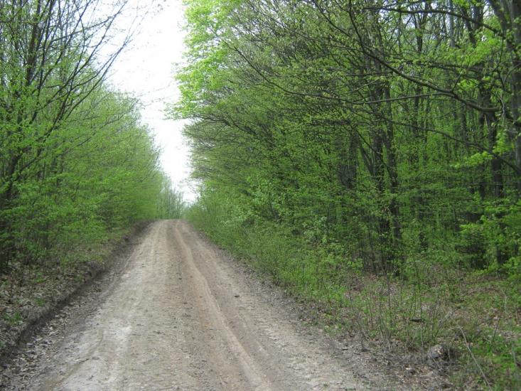 Дебеславці з panoramio.com - Дебеславцы