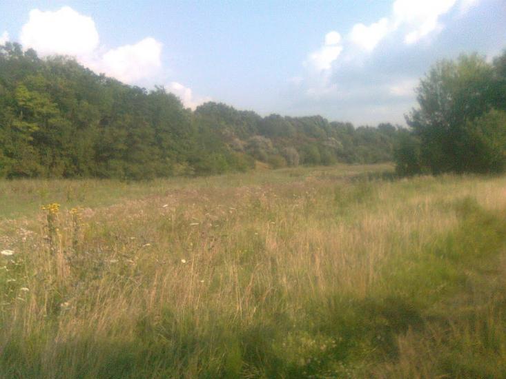 Чорна Кам'янка з panoramio.com - Черная Каменка