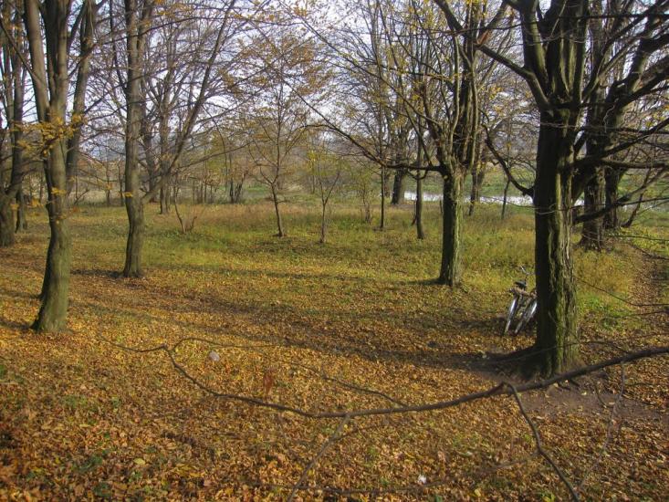 Славута з panoramio.com - Славута