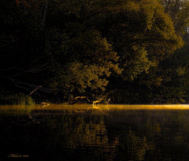 Заможнє з panoramio.com - Заможнє