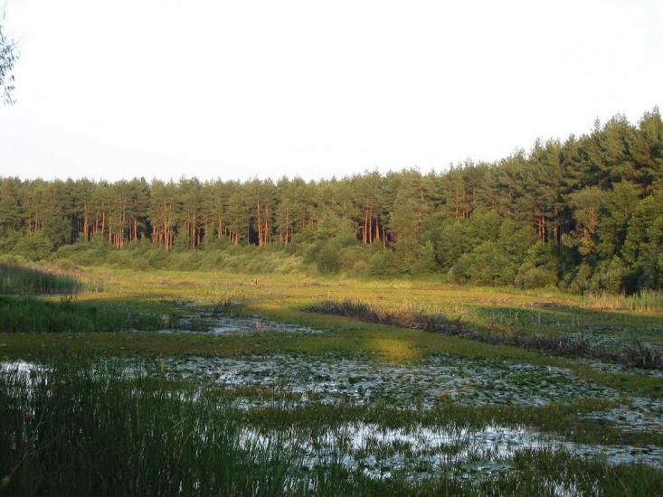 Бортятин з panoramio.com - Бортятин