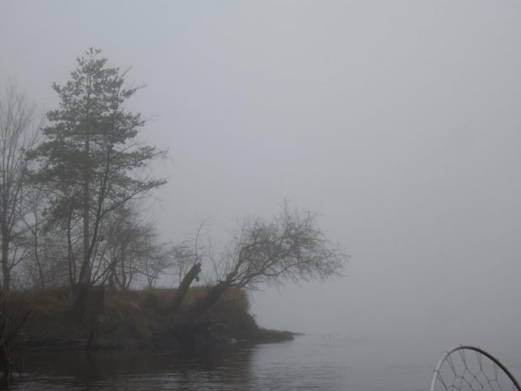 Шабельники з panoramio.com - Шабельники