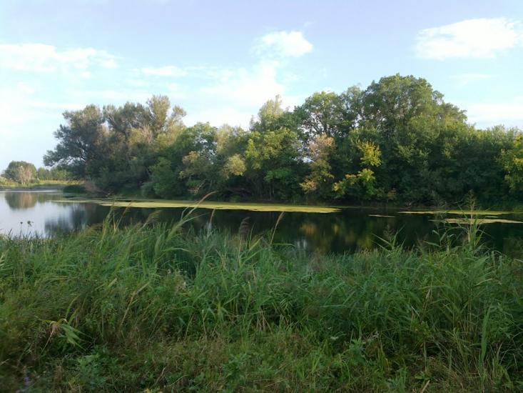 Шульгинка з panoramio.com - Шульгинка