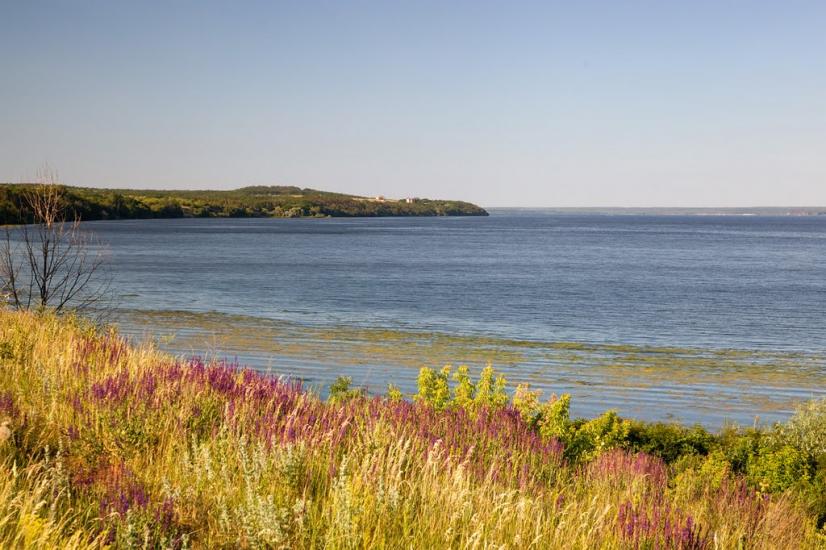 Бобриця з panoramio.com - Бобрица