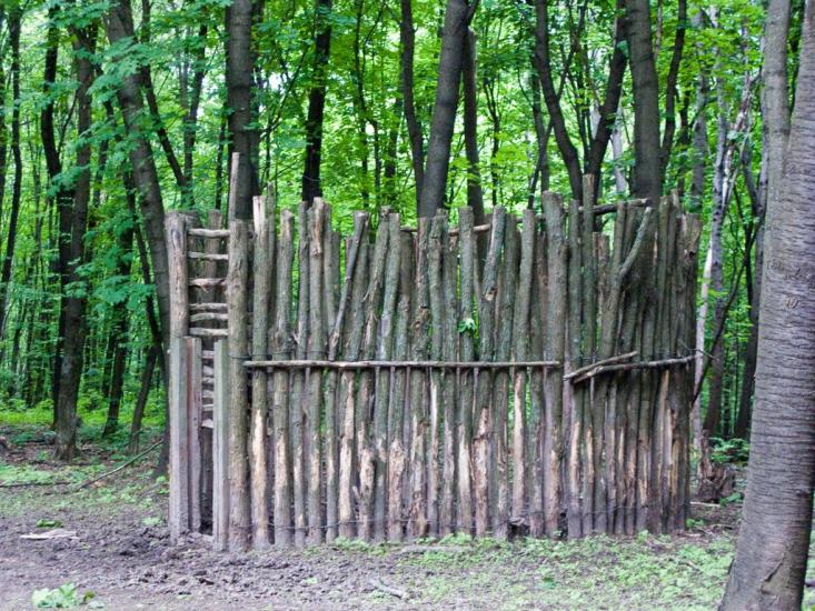 Луковиця з panoramio.com - Луковица