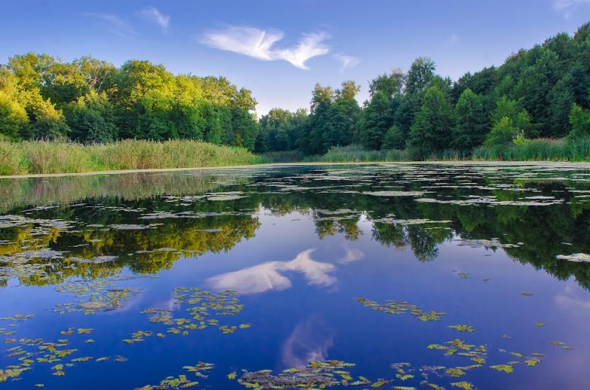 Шипилівка з panoramio.com - Shypylivka