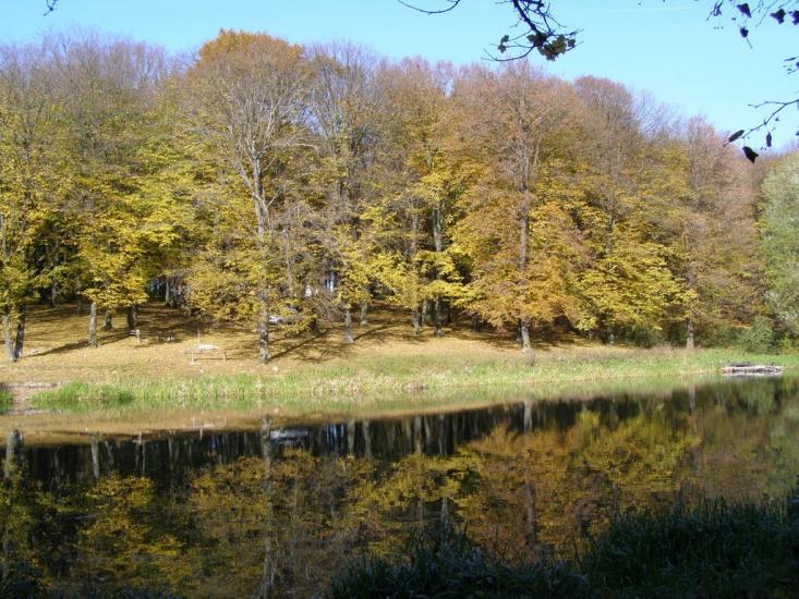 Віньківці з panoramio.com - Віньківці