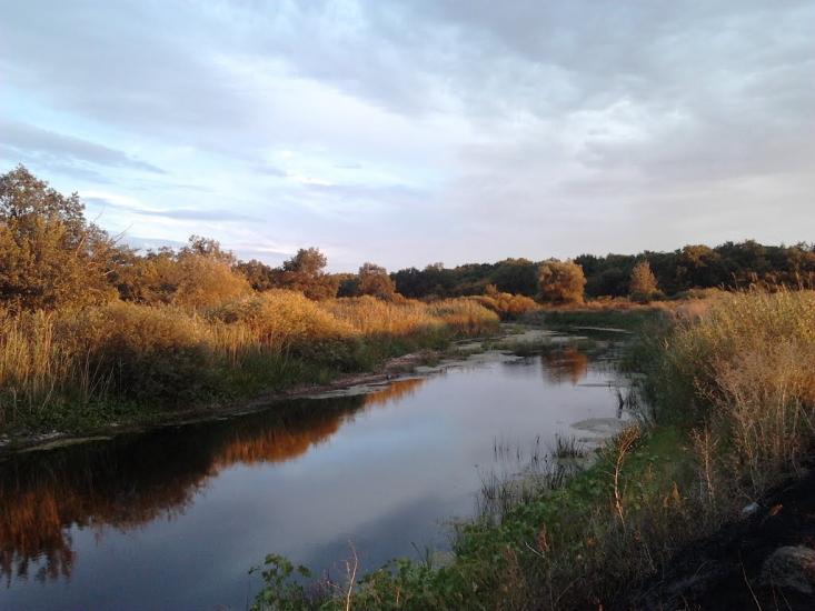 Усть-Лип'янка з panoramio.com - Усть-Липянка