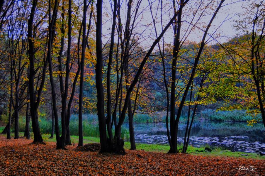 Новосілки з panoramio.com - Новоселки