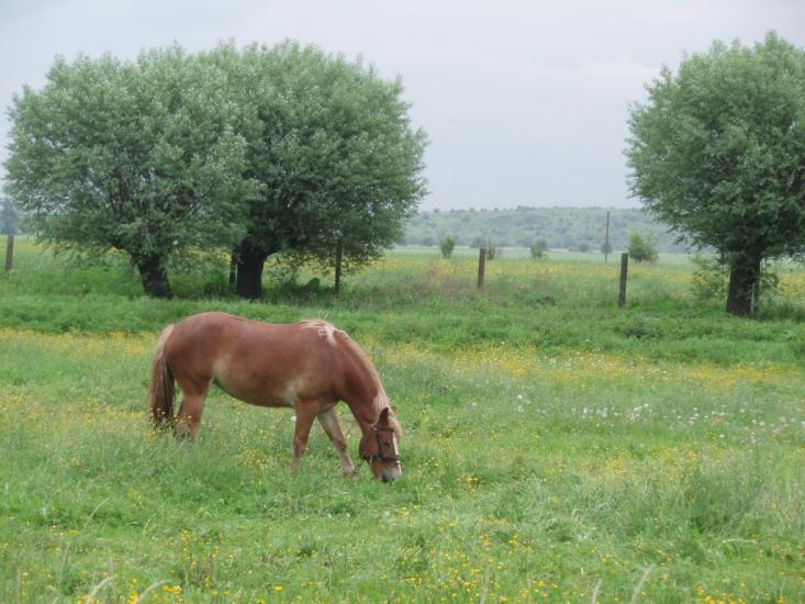 Вілюничі з panoramio.com - Вилюничи