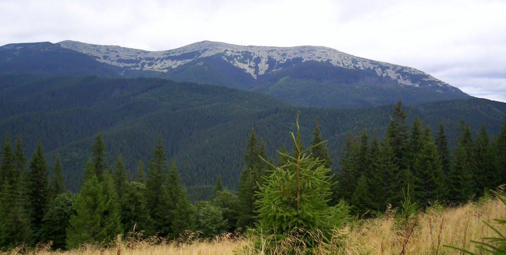 Стебний з panoramio.com - Стебний
