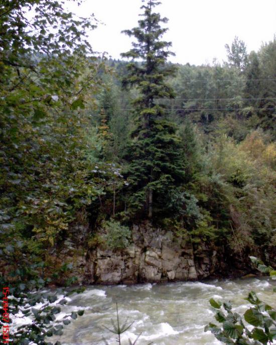 Новий Мізунь з panoramio.com - Novyy Mizun