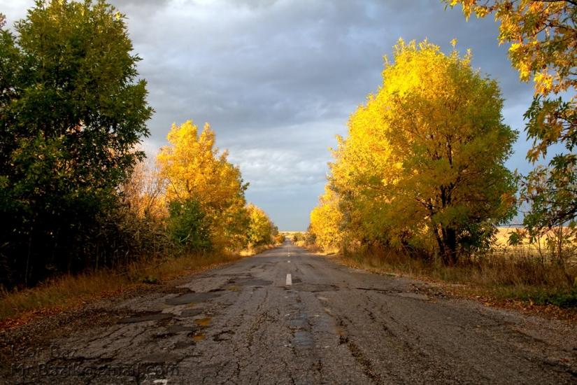 Пасічне з panoramio.com - Pasichne