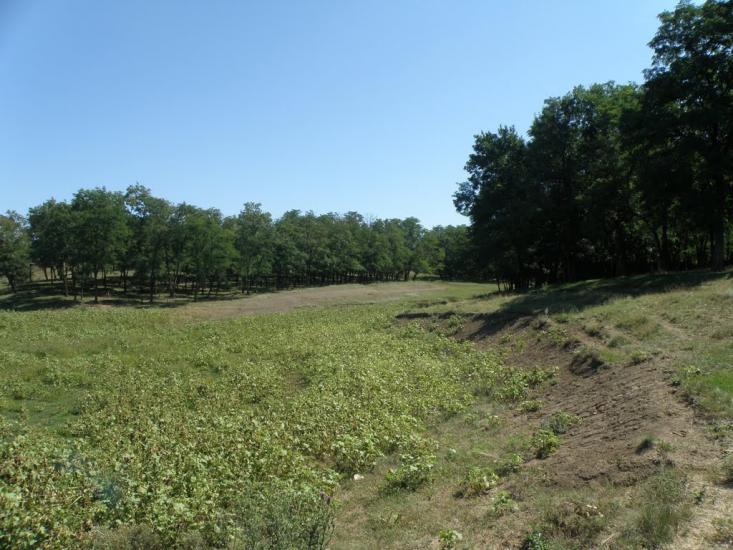 Княгинівка з panoramio.com - Княгиневка