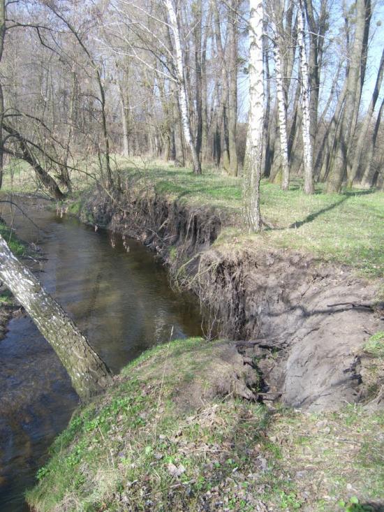 Веселий Кут з panoramio.com - Веселий Кут