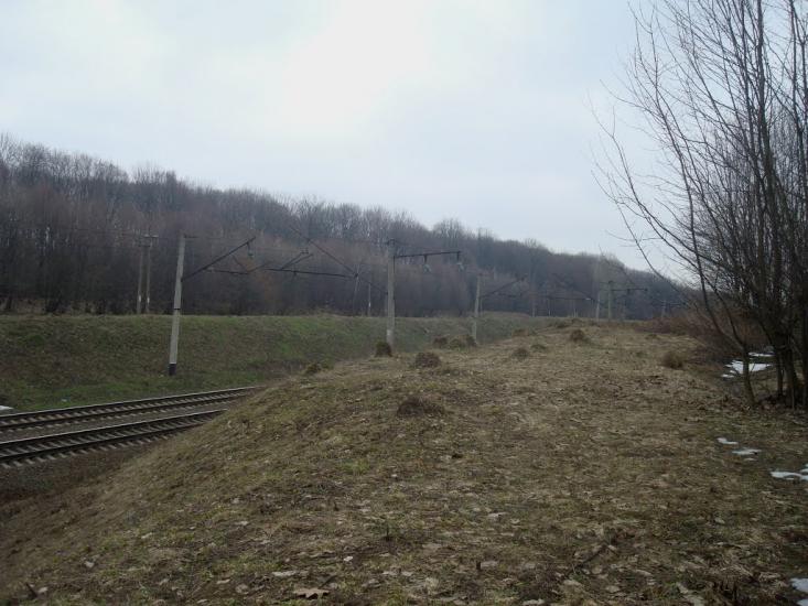Слобода-Межирівська з panoramio.com - Sloboda-Mezhyrivska