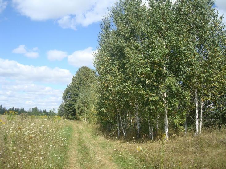 Михайлючка з panoramio.com - Михайлючка