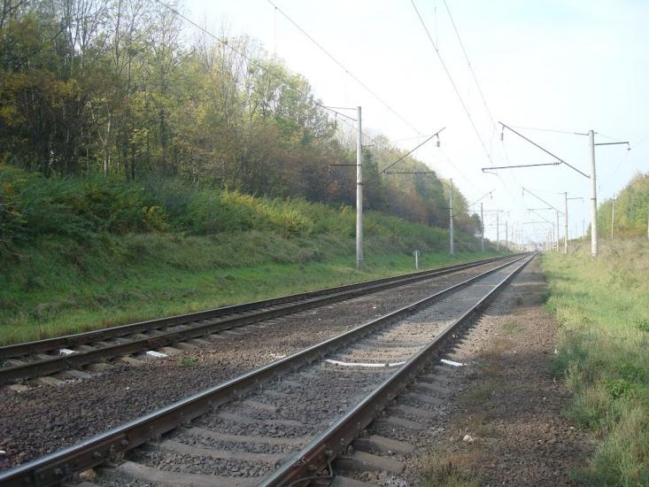 Червона Зірка з panoramio.com - Червоная Зирка