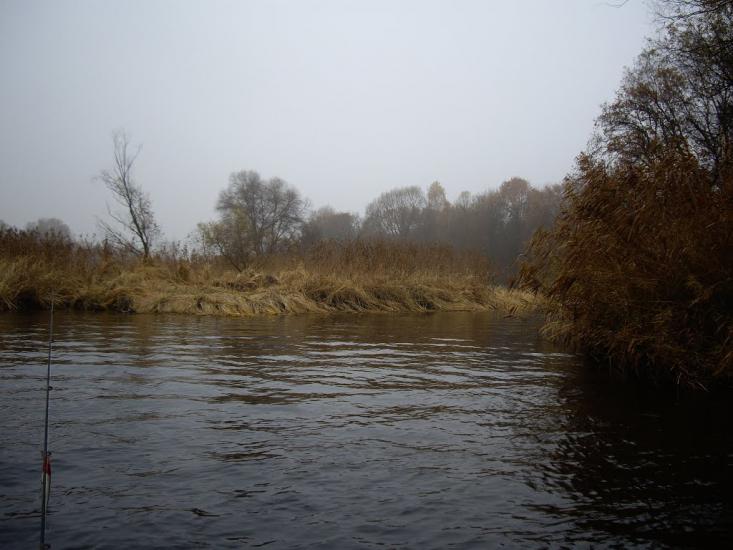 Шабельники з panoramio.com - Shabelnyky