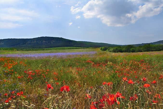 Приятне Свідання з panoramio.com - Приятное Свидание