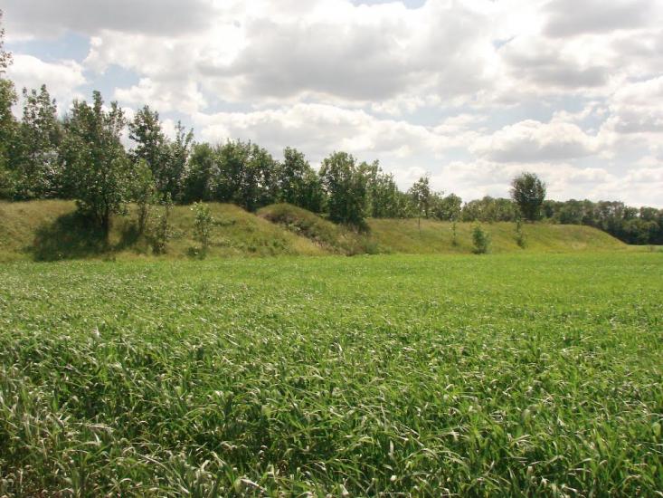Новий Донбас з panoramio.com - Novyy Donbas