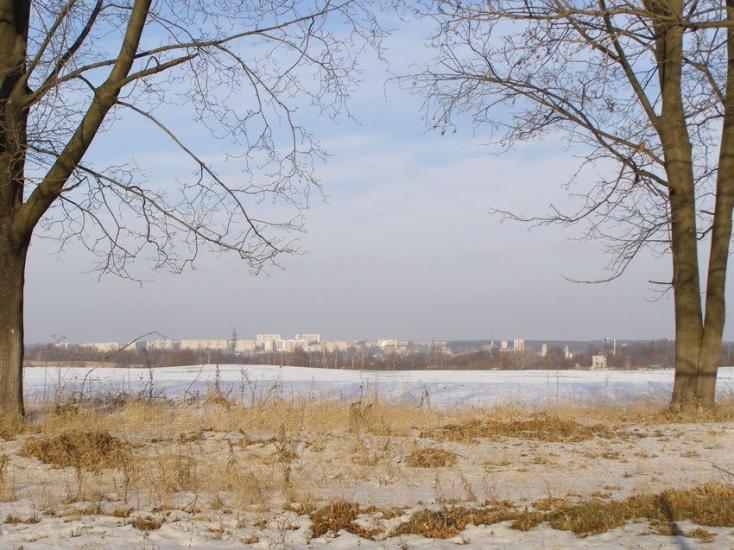 Коротич з panoramio.com - Коротыч