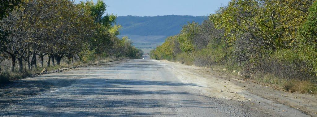 Розалівка з panoramio.com - Розаловка