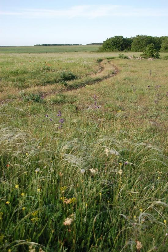 Вікторівка з panoramio.com - Викторовка