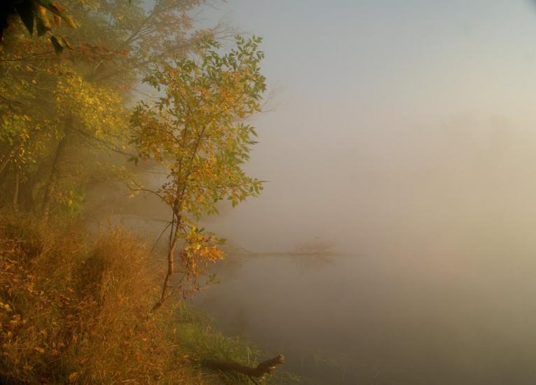 Слов'яносербськ з panoramio.com - Славяносербск