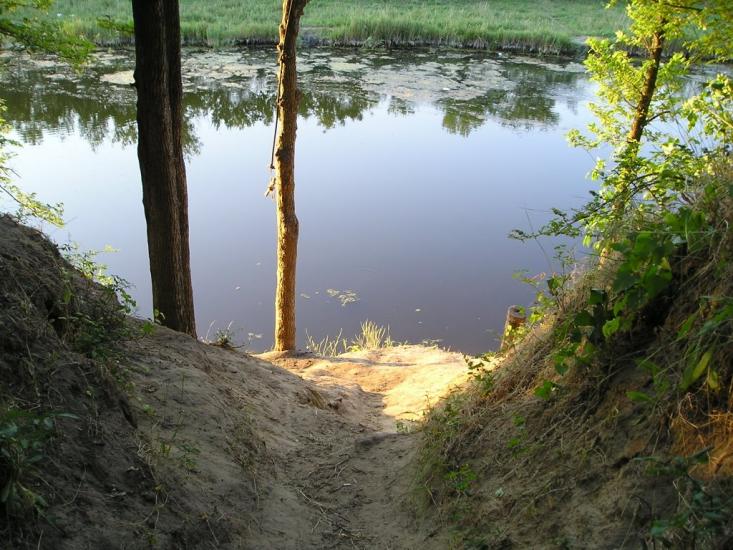 Новопилипівка з panoramio.com - Новопилиповка