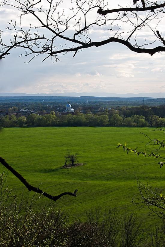 Журавно з panoramio.com - Журавно