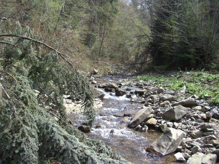 Майдан з panoramio.com - Майдан