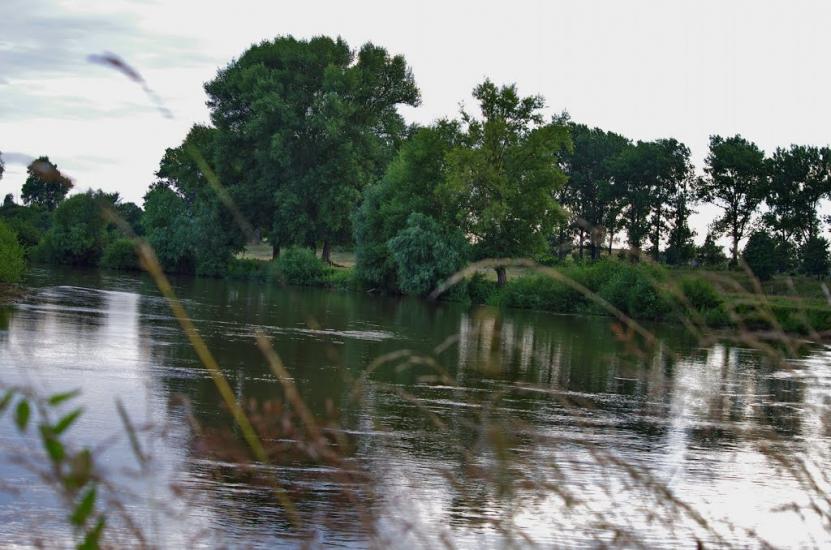 Дубровиця з panoramio.com - Dubrovytsia