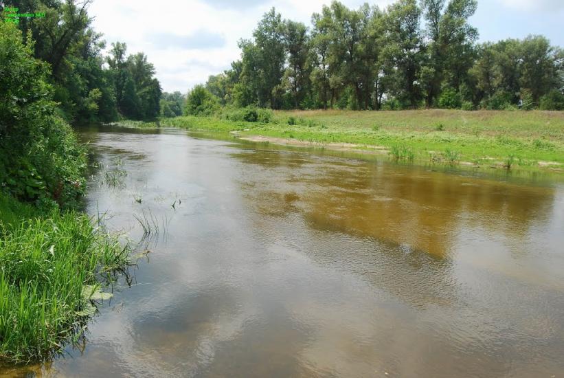 Кардашівка з panoramio.com - Кардашовка
