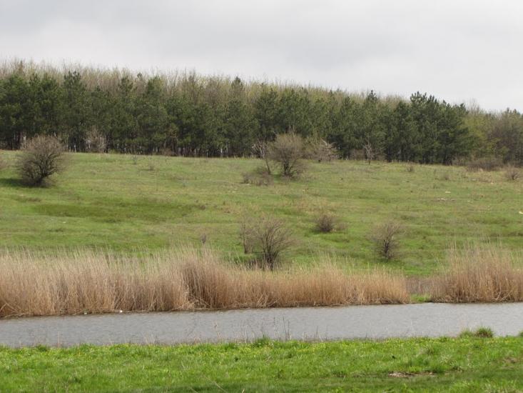 Кам'янка з panoramio.com - Камянка