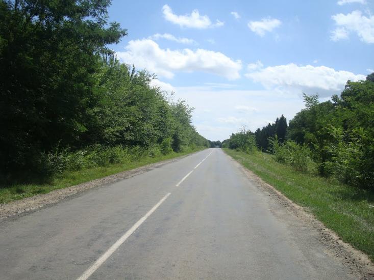 Загінці з panoramio.com - Zagintsi