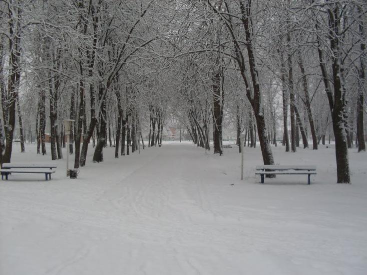 Буринь з panoramio.com - Буринь