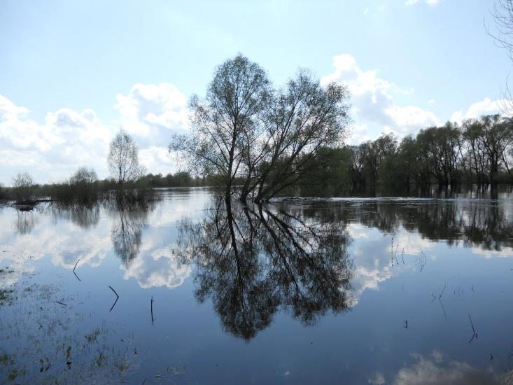 Дробишів з panoramio.com - Дробишів