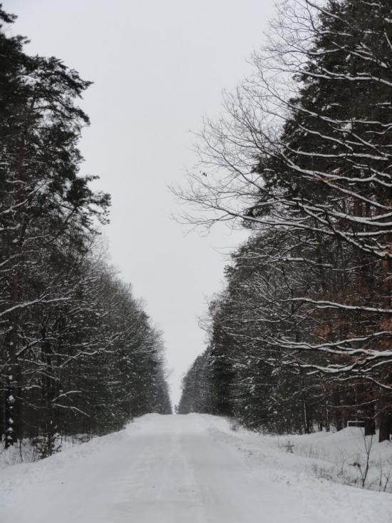 Бодячів з panoramio.com - Бодячів