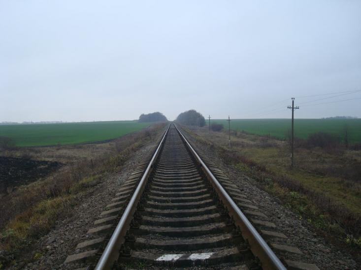 Воронківці з panoramio.com - Воронковцы
