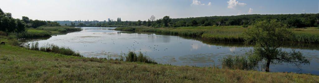 Новоіванівка з panoramio.com - Новоіванівка