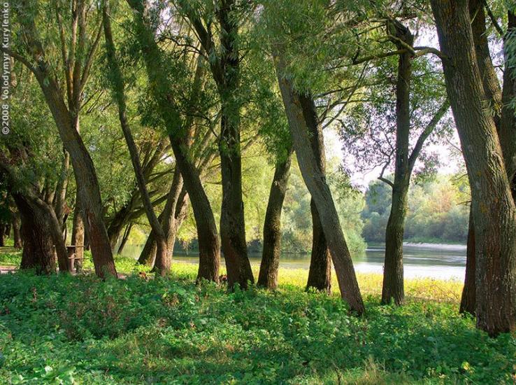 Камінь з panoramio.com - Камінь