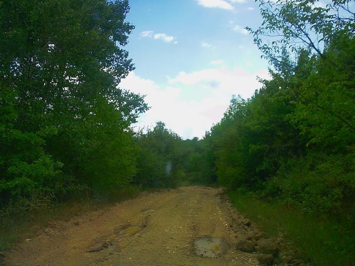 Щасливе з panoramio.com - Schaslyve