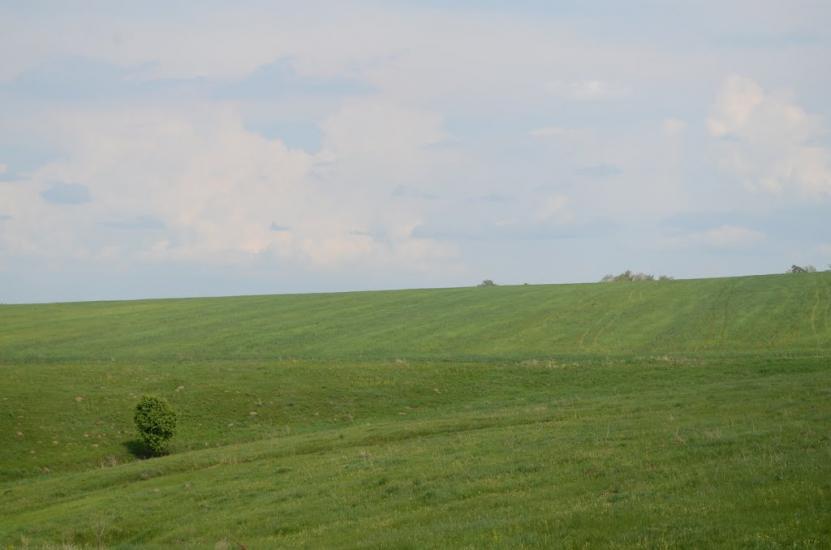 Болибоки з panoramio.com - Болибоки