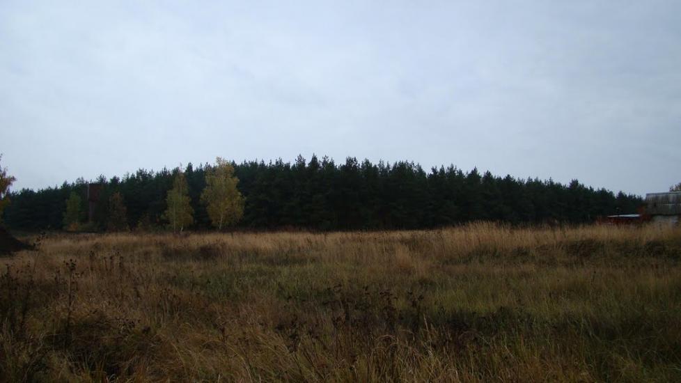 Циркуни з panoramio.com - Циркуны