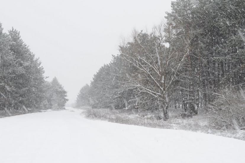 Саги з panoramio.com - Саги