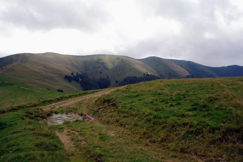 Мерешор з panoramio.com - Мерешор