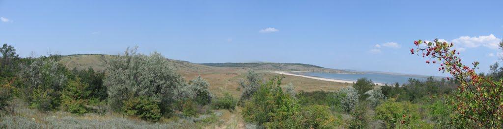 Калинівка з panoramio.com - Калиновка